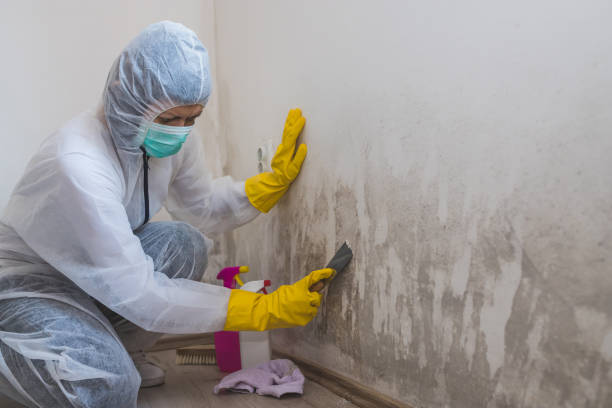 Biohazard Mold Removal in Tuskegee, AL