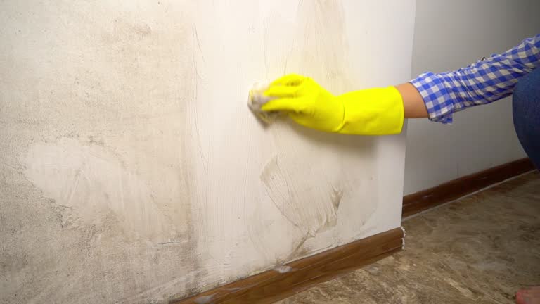 Trusted Tuskegee, AL Mold Removal Experts